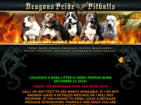 pitbulls xxl blue pitbulls xxl blue pitbulls dragons pride pitbulls pitbulls xxl blue pitbulls xxl blue pitbulls dragons pride pitbulls