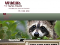 wildlifepestcontrolservices.com Thumbnail