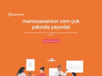 manisaasansor.com