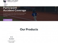 Wellfleetspecialrisk.com