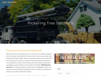 Treeservicepickering.com