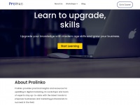 prolinko.com