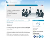bjka-consulting.com Thumbnail