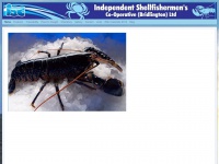 independentshellfish.co.uk Thumbnail
