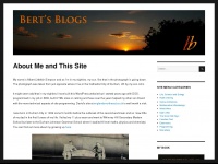 bertsblogs.com