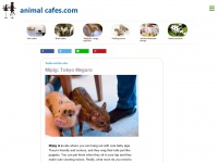 animalcafes.com Thumbnail