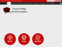 Trickumridge.com