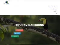 birdwatchingincostarica.com Thumbnail