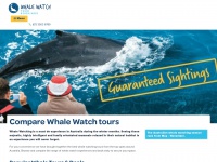 whaletours.com.au