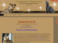 savannahkittensandcats.com Thumbnail