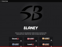 blaney-group.com Thumbnail
