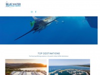 bluewatersportfishingcharters.com