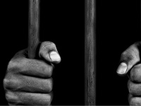 incarcerationreform.com Thumbnail