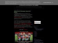 atlantafalconscheerleadersalumni.blogspot.com