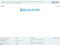 baumann-group.com Thumbnail