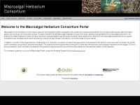 macroalgae.org Thumbnail