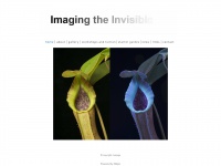 imagingtheinvisible.com Thumbnail
