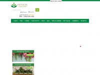 artificialplantshop.com.au Thumbnail