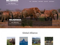 wildernessfoundationglobal.org Thumbnail