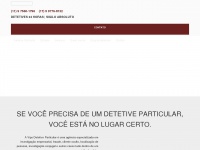 detetive-particular-brasil.com.br Thumbnail