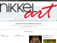 Nikkel-art.fr