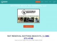 daytonabeach-rat-removal.com