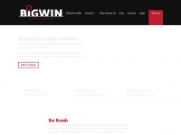 bigwinaffiliates.com