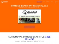 ormondbeach-rat-removal.com
