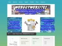 webguywebsites.com