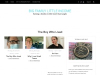 bigfamilylittleincome.com Thumbnail