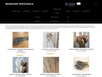 branches-wholesale.com