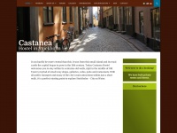 castaneahostel.com
