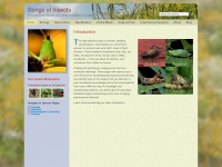 songsofinsects.com Thumbnail