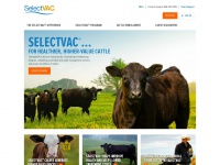selectvac.com Thumbnail