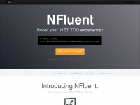 n-fluent.net