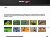Wildstockphotos.com