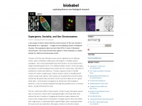 biobabel.wordpress.com Thumbnail