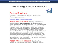 radonservices.biz Thumbnail