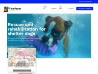 Doggydaycarefarmtrips.com.au