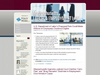 masslaborandemploymentlaw.com Thumbnail