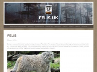 Felis-uk.com