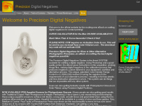 precisiondigitalnegatives.com Thumbnail
