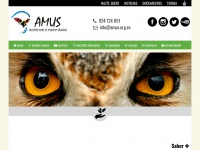 amus.org.es Thumbnail
