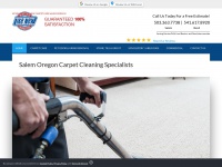 Mcmillanscarpetcleaning.com