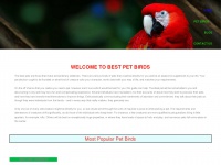 bestpetbirds.com