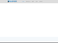 blueneer.com.au Thumbnail