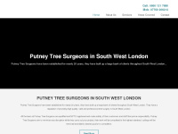 Putneytreesurgeons.co.uk