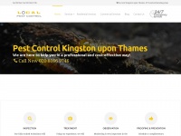 kingston-pest-control.co.uk