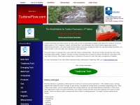 turbineflow.com