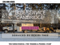 treeservicecambridge.ca Thumbnail